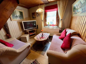 Gemuetliches-kleines-Ferienhaeuschen-Nr-3-im-Harz-fuer-max-3-Personen-inkl-Balkon